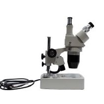 Lhm 2021.008.009 B - C (1) Edited